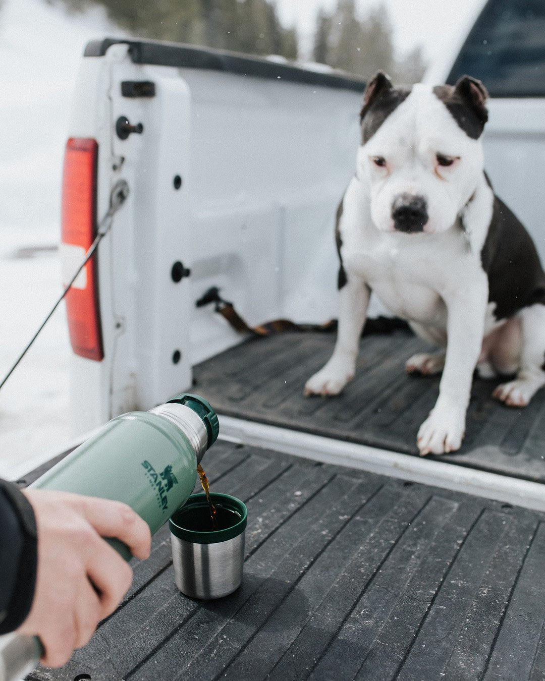STANLEY Bottle 0.75L - Grøn